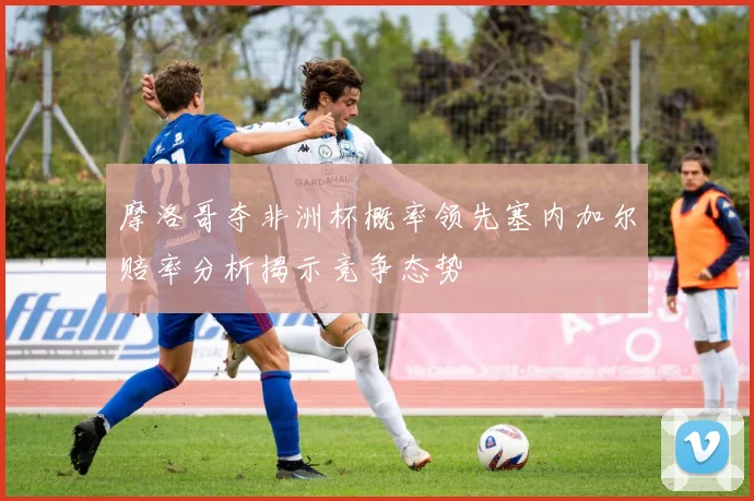 摩洛哥夺非洲杯概率领先塞内加尔赔率分析揭示竞争态势