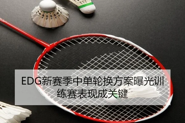 EDG新赛季中单轮换方案曝光训练赛表现成关键 | ManBetX